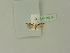  ( - BC ZSM Lep 76214)  @12 [ ] Unspecified (default): All Rights Reserved  Unspecified Unspecified