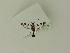  ( - BC ZSM Lep 76236)  @11 [ ] Unspecified (default): All Rights Reserved  Unspecified Unspecified