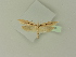  ( - BC ZSM Lep 76299)  @13 [ ] Unspecified (default): All Rights Reserved  Unspecified Unspecified