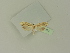  ( - BC ZSM Lep 76300)  @12 [ ] Unspecified (default): All Rights Reserved  Unspecified Unspecified