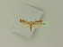  ( - BC ZSM Lep 76311)  @12 [ ] Unspecified (default): All Rights Reserved  Unspecified Unspecified