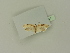  ( - BC ZSM Lep 76327)  @11 [ ] Unspecified (default): All Rights Reserved  Unspecified Unspecified