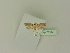  ( - BC ZSM Lep 76334)  @11 [ ] Unspecified (default): All Rights Reserved  Unspecified Unspecified