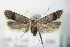  ( - BC ZSM Lep 75937)  @13 [ ] Unspecified (default): All Rights Reserved  Unspecified Unspecified
