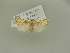  ( - BC ZSM Lep 78857)  @11 [ ] Unspecified (default): All Rights Reserved  Unspecified Unspecified