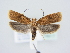  ( - BC ZSM Lep 78917)  @13 [ ] Unspecified (default): All Rights Reserved  Unspecified Unspecified
