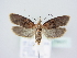  ( - BC ZSM Lep 78931)  @15 [ ] Unspecified (default): All Rights Reserved  Unspecified Unspecified