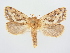  ( - BC ZSM Lep 78969)  @14 [ ] Unspecified (default): All Rights Reserved  Unspecified Unspecified