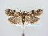  ( - BC ZSM Lep 78971)  @14 [ ] Unspecified (default): All Rights Reserved  Unspecified Unspecified