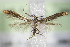  ( - BC ZSM Lep 79263)  @12 [ ] Unspecified (default): All Rights Reserved  Unspecified Unspecified