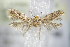  ( - BC ZSM Lep 79278)  @11 [ ] Unspecified (default): All Rights Reserved  Unspecified Unspecified