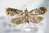  ( - BC ZSM Lep 79321)  @13 [ ] Unspecified (default): All Rights Reserved  Unspecified Unspecified