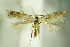  ( - BC ZSM Lep 79431)  @11 [ ] Unspecified (default): All Rights Reserved  Unspecified Unspecified