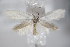  ( - BC ZSM Lep 85183)  @14 [ ] Unspecified (default): All Rights Reserved  Unspecified Unspecified