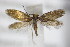  ( - BC ZSM Lep 85235)  @11 [ ] Unspecified (default): All Rights Reserved  Unspecified Unspecified
