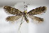  ( - BC ZSM Lep 85242)  @13 [ ] Unspecified (default): All Rights Reserved  Unspecified Unspecified