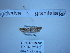  ( - BC ZSM Lep 85517)  @11 [ ] Unspecified (default): All Rights Reserved  Unspecified Unspecified