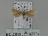  ( - BC ZSM Lep 85604)  @12 [ ] CreativeCommons - Attribution Non-Commercial Share-Alike (2015) Unspecified SNSB, Zoologische Staatssammlung Muenchen