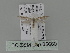 ( - BC ZSM Lep 85660)  @12 [ ] CreativeCommons - Attribution Non-Commercial Share-Alike (2015) Unspecified SNSB, Zoologische Staatssammlung Muenchen