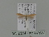  ( - BC ZSM Lep 87627)  @12 [ ] CreativeCommons - Attribution Non-Commercial Share-Alike (2015) Unspecified SNSB, Zoologische Staatssammlung Muenchen