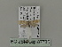  ( - BC ZSM Lep 87735)  @12 [ ] CreativeCommons - Attribution Non-Commercial Share-Alike (2015) Unspecified SNSB, Zoologische Staatssammlung Muenchen