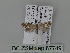  ( - BC ZSM Lep 87749)  @12 [ ] CreativeCommons - Attribution Non-Commercial Share-Alike (2015) Unspecified SNSB, Zoologische Staatssammlung Muenchen