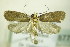  ( - BC ZSM Lep 87791)  @13 [ ] Unspecified (default): All Rights Reserved  Unspecified Unspecified