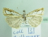  ( - BC ZSM Lep 87830)  @13 [ ] Unspecified (default): All Rights Reserved  Unspecified Unspecified