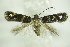  ( - BC ZSM Lep 89181)  @13 [ ] Unspecified (default): All Rights Reserved  Unspecified Unspecified