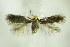  ( - BC ZSM Lep 89361)  @13 [ ] CreativeCommons - Attribution Non-Commercial Share-Alike (2015) Unspecified SNSB, Zoologische Staatssammlung Muenchen