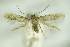  ( - BC ZSM Lep 89410)  @12 [ ] Unspecified (default): All Rights Reserved  Unspecified Unspecified