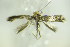  ( - BC ZSM Lep 89433)  @13 [ ] Unspecified (default): All Rights Reserved  Unspecified Unspecified