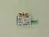  ( - BC ZSM Lep 95130)  @12 [ ] CreativeCommons - Attribution Non-Commercial Share-Alike (2016) SNSB, Staatliche Naturwissenschaftliche Sammlungen Bayerns ZSM (SNSB, Zoologische Staatssammlung Muenchen)