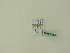  ( - BC ZSM Lep 95186)  @12 [ ] CreativeCommons - Attribution Non-Commercial Share-Alike (2016) SNSB, Staatliche Naturwissenschaftliche Sammlungen Bayerns ZSM (SNSB, Zoologische Staatssammlung Muenchen)