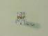  ( - BC ZSM Lep 87923)  @12 [ ] CreativeCommons - Attribution Non-Commercial Share-Alike (2016) SNSB, Staatliche Naturwissenschaftliche Sammlungen Bayerns ZSM (SNSB, Zoologische Staatssammlung Muenchen)