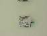  ( - BC ZSM Lep 94895)  @12 [ ] CreativeCommons - Attribution Non-Commercial Share-Alike (2016) SNSB, Staatliche Naturwissenschaftliche Sammlungen Bayerns ZSM (SNSB, Zoologische Staatssammlung Muenchen)