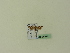  ( - BC ZSM Lep 95312)  @12 [ ] CreativeCommons - Attribution Non-Commercial Share-Alike (2016) SNSB, Staatliche Naturwissenschaftliche Sammlungen Bayerns ZSM (SNSB, Zoologische Staatssammlung Muenchen)
