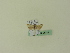  ( - BC ZSM Lep 95318)  @12 [ ] CreativeCommons - Attribution Non-Commercial Share-Alike (2016) SNSB, Staatliche Naturwissenschaftliche Sammlungen Bayerns ZSM (SNSB, Zoologische Staatssammlung Muenchen)