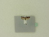  ( - BC ZSM Lep 95354)  @11 [ ] CreativeCommons - Attribution Non-Commercial Share-Alike (2016) SNSB, Staatliche Naturwissenschaftliche Sammlungen Bayerns ZSM (SNSB, Zoologische Staatssammlung Muenchen)