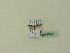  ( - BC ZSM Lep 95468)  @12 [ ] CreativeCommons - Attribution Non-Commercial Share-Alike (2016) SNSB, Staatliche Naturwissenschaftliche Sammlungen Bayerns ZSM (SNSB, Zoologische Staatssammlung Muenchen)