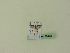  ( - BC ZSM Lep 95478)  @12 [ ] CreativeCommons - Attribution Non-Commercial Share-Alike (2016) SNSB, Staatliche Naturwissenschaftliche Sammlungen Bayerns ZSM (SNSB, Zoologische Staatssammlung Muenchen)