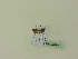  ( - BC ZSM Lep 95480)  @12 [ ] CreativeCommons - Attribution Non-Commercial Share-Alike (2016) SNSB, Staatliche Naturwissenschaftliche Sammlungen Bayerns ZSM (SNSB, Zoologische Staatssammlung Muenchen)