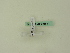  ( - BC ZSM Lep 95554)  @11 [ ] CreativeCommons - Attribution Non-Commercial Share-Alike (2016) SNSB, Staatliche Naturwissenschaftliche Sammlungen Bayerns ZSM (SNSB, Zoologische Staatssammlung Muenchen)