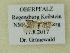  ( - BC ZSM Lep 101791)  @11 [ ] SNSB, ZSM (2017) Dr. Andreas H. Segerer Unspecified