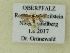 ( - BC ZSM Lep 101799)  @11 [ ] SNSB, ZSM (2017) Dr. Andreas H. Segerer Unspecified