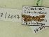  ( - BC ZSM Lep 99954)  @12 [ ] SNSB, ZSM (2017) Dr. Andreas H. Segerer Unspecified