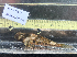  ( - BHAK-12827)  @11 [ ] CreativeCommons Attribution Non-Commercial No Derivatives (2025) Matt Lemay Hakai Institute