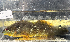  ( - BHAK-12811)  @11 [ ] CreativeCommons Attribution Non-Commercial No Derivatives (2025) Matt Lemay Hakai Institute