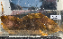  ( - BHAK-12738)  @11 [ ] CreativeCommons Attribution Non-Commercial No Derivatives (2025) Matt Lemay Hakai Institute