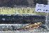  ( - BHAK-12839)  @11 [ ] CreativeCommons Attribution Non-Commercial No Derivatives (2025) Matt Lemay Hakai Institute